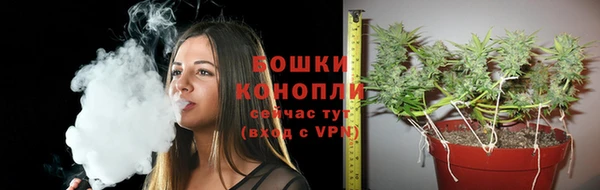 хмурый Заводоуковск