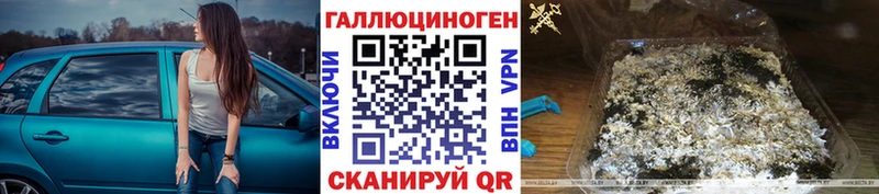 Галлюциногенные грибы мицелий  Купить закладки  Торопец 